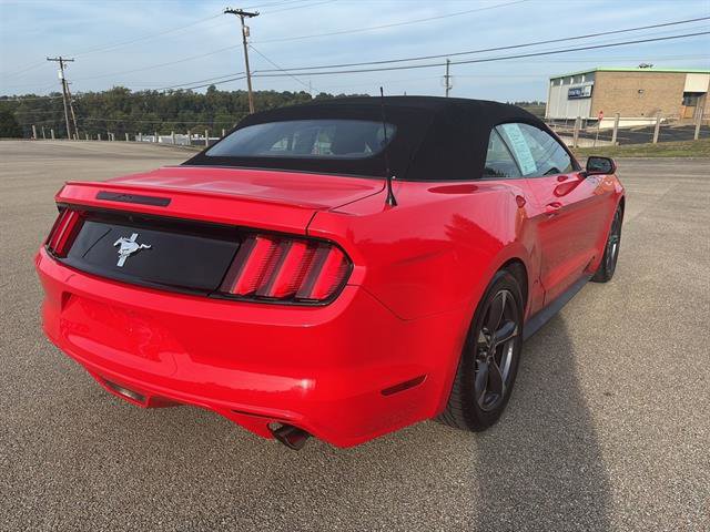 Used 2015 Ford Mustang Convertible w/ Equipment Group 051A image 4