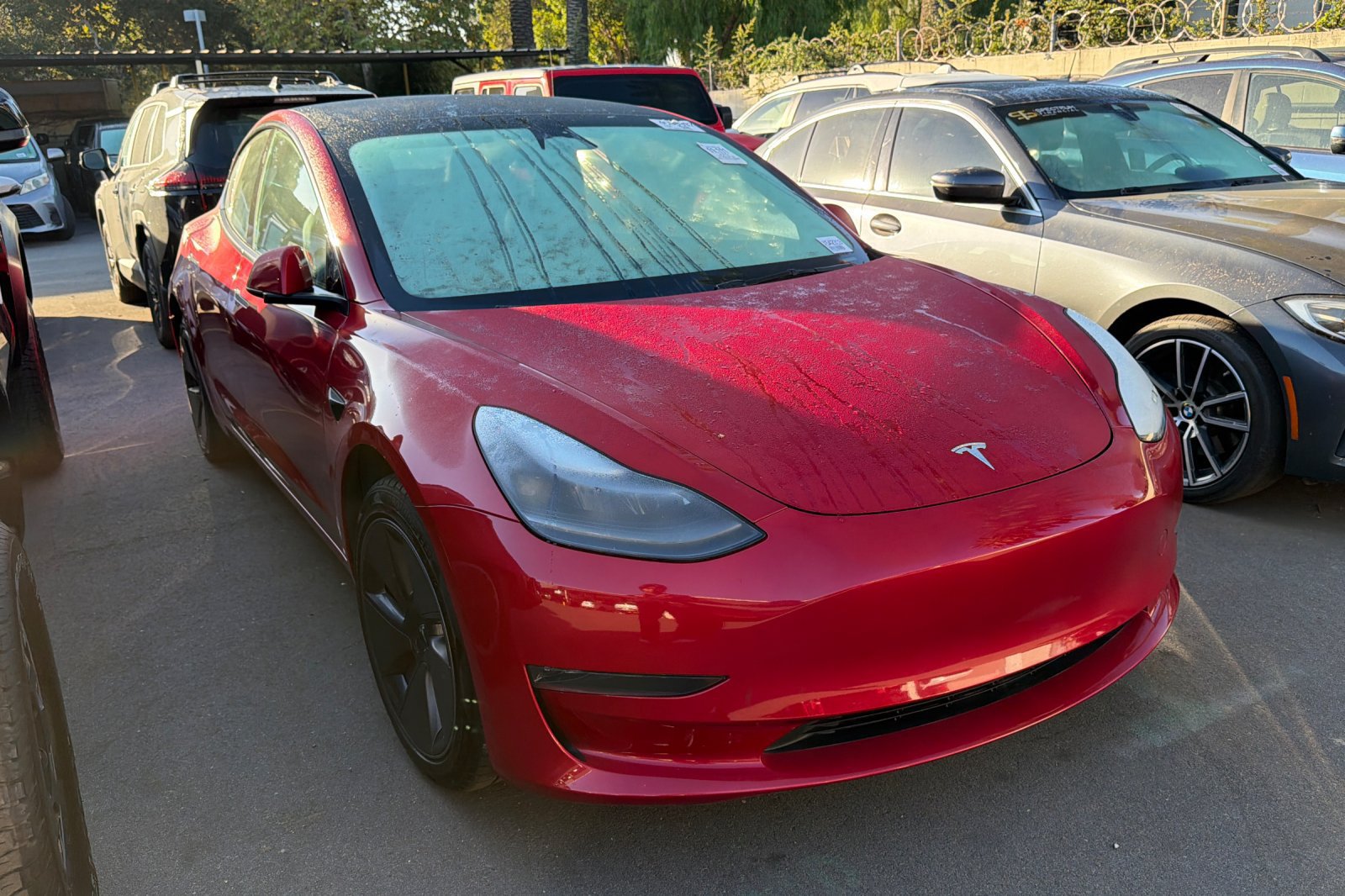 Used 2023 Tesla Model 3 Standard Range RWD image 2