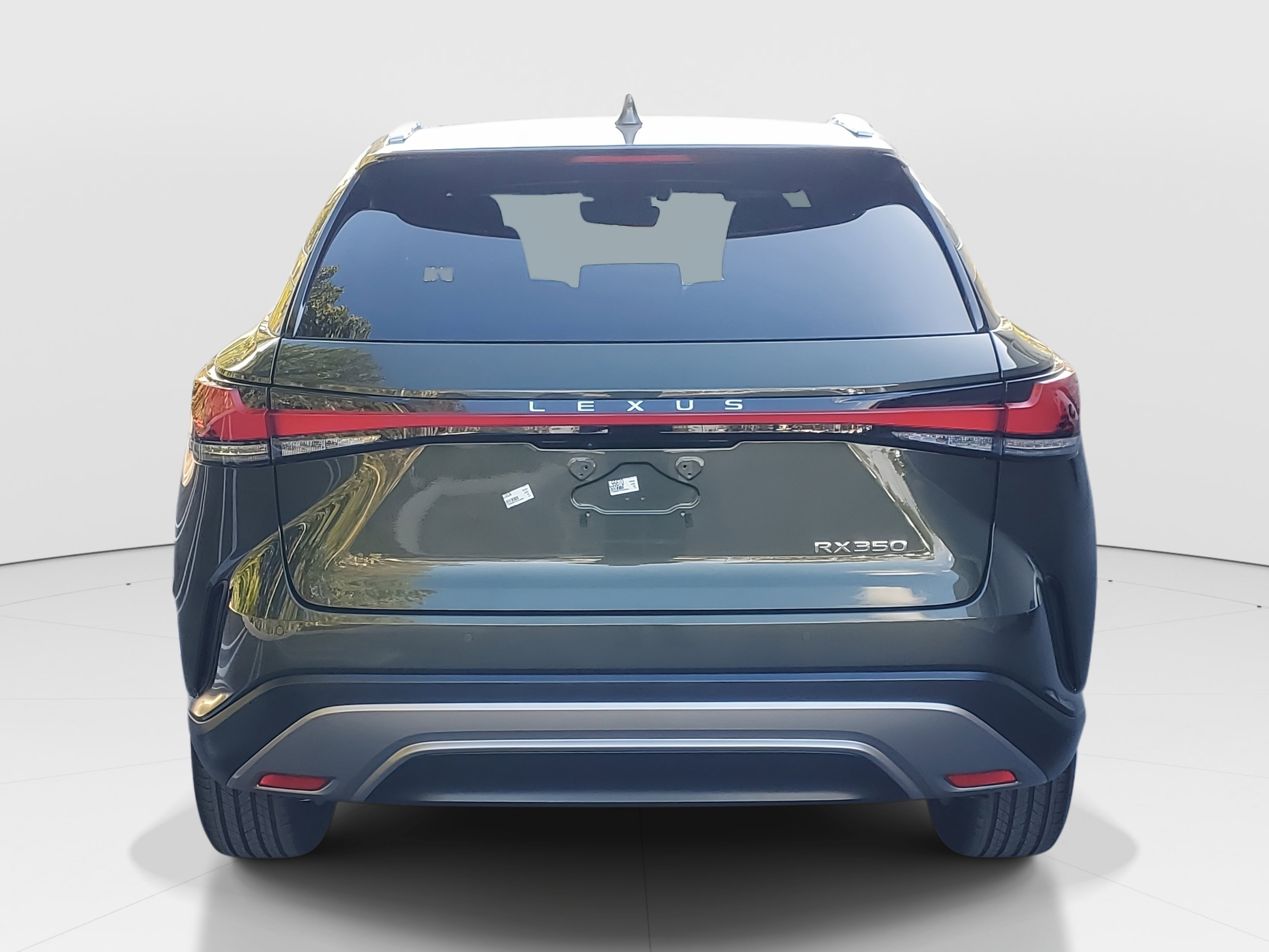 Used 2023 Lexus RX 350 Premium w/ Cold Area Package image 6