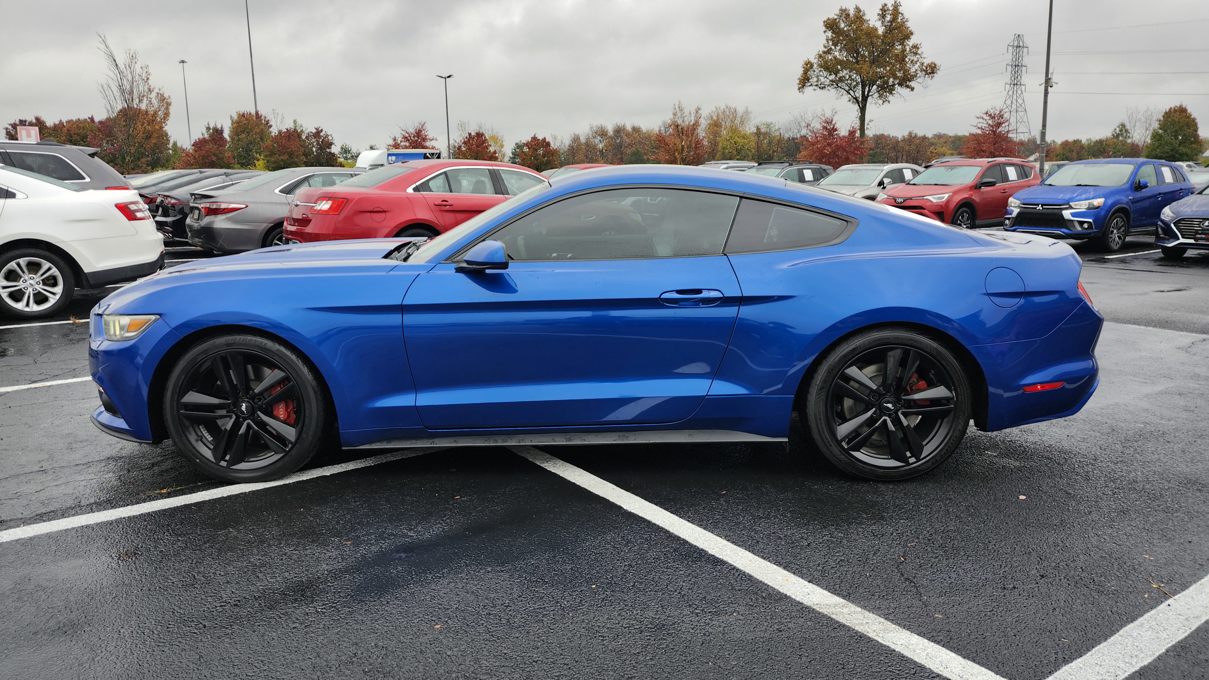 Used 2017 Ford Mustang Coupe w/ Ecoboost Performance Package image 8