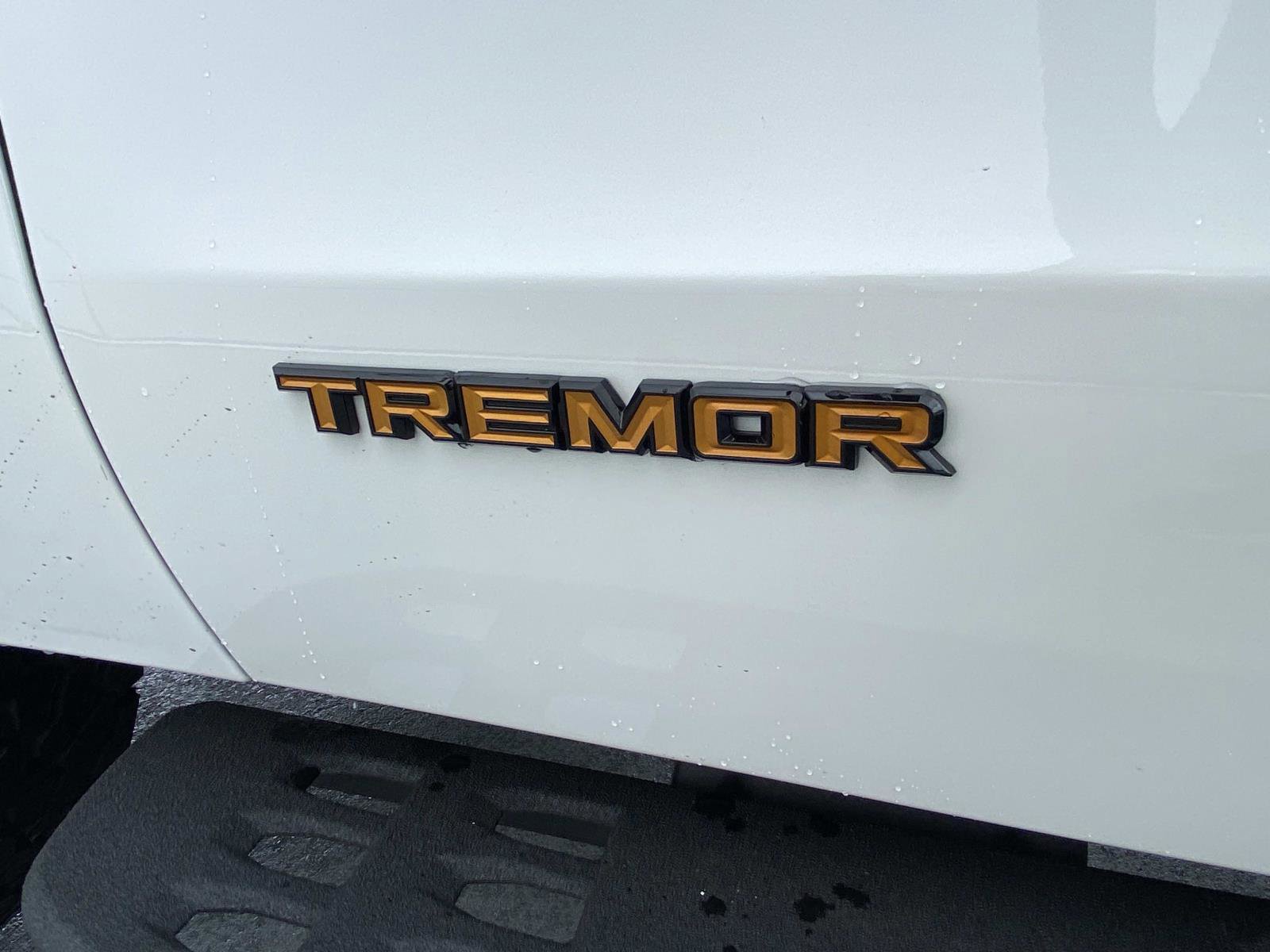 New 2026 Ford Expedition Tremor AWD/4WD image 8