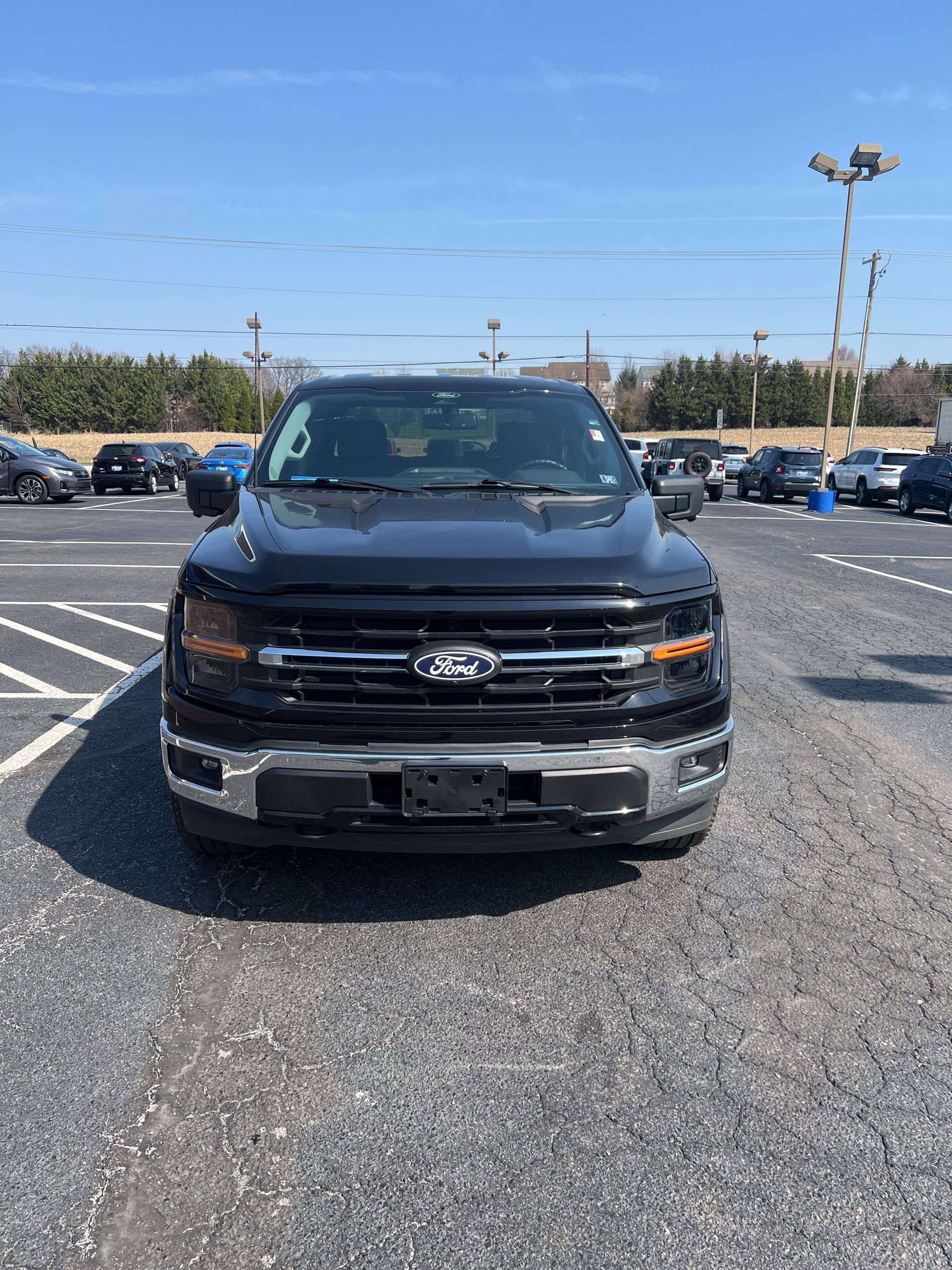 Used 2024 Ford F150 XLT AWD/4WD image 9