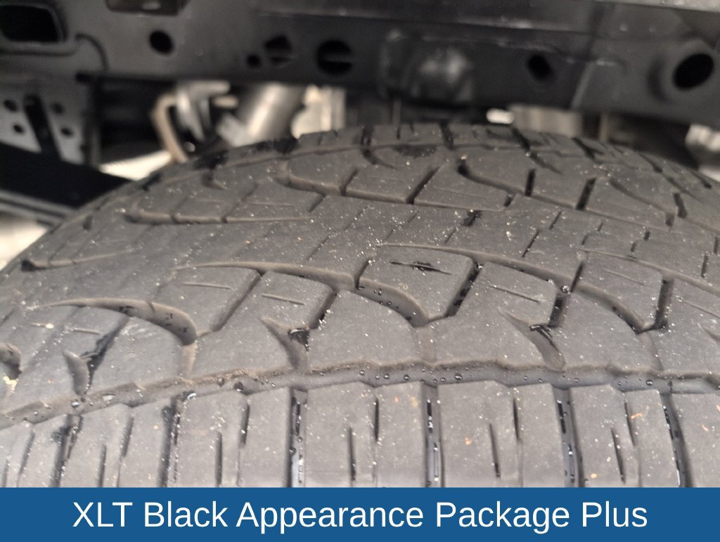 Used 2025 Ford F150 XLT w/ Equipment Group 302A MID AWD/4WD image 19