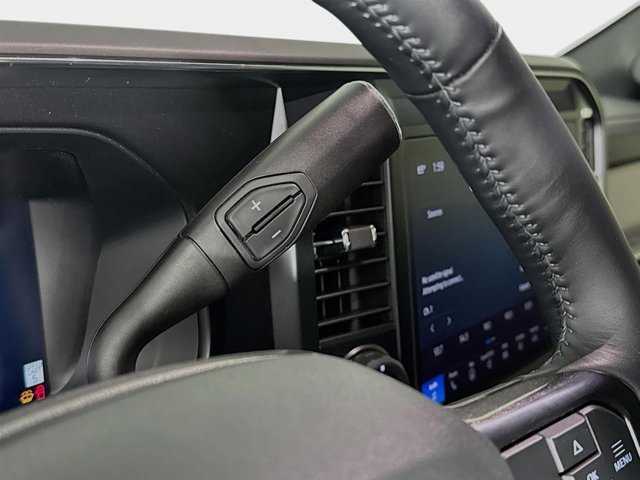 Used 2025 Ford F250 Platinum w/ FX4 Off-Road Package image 19