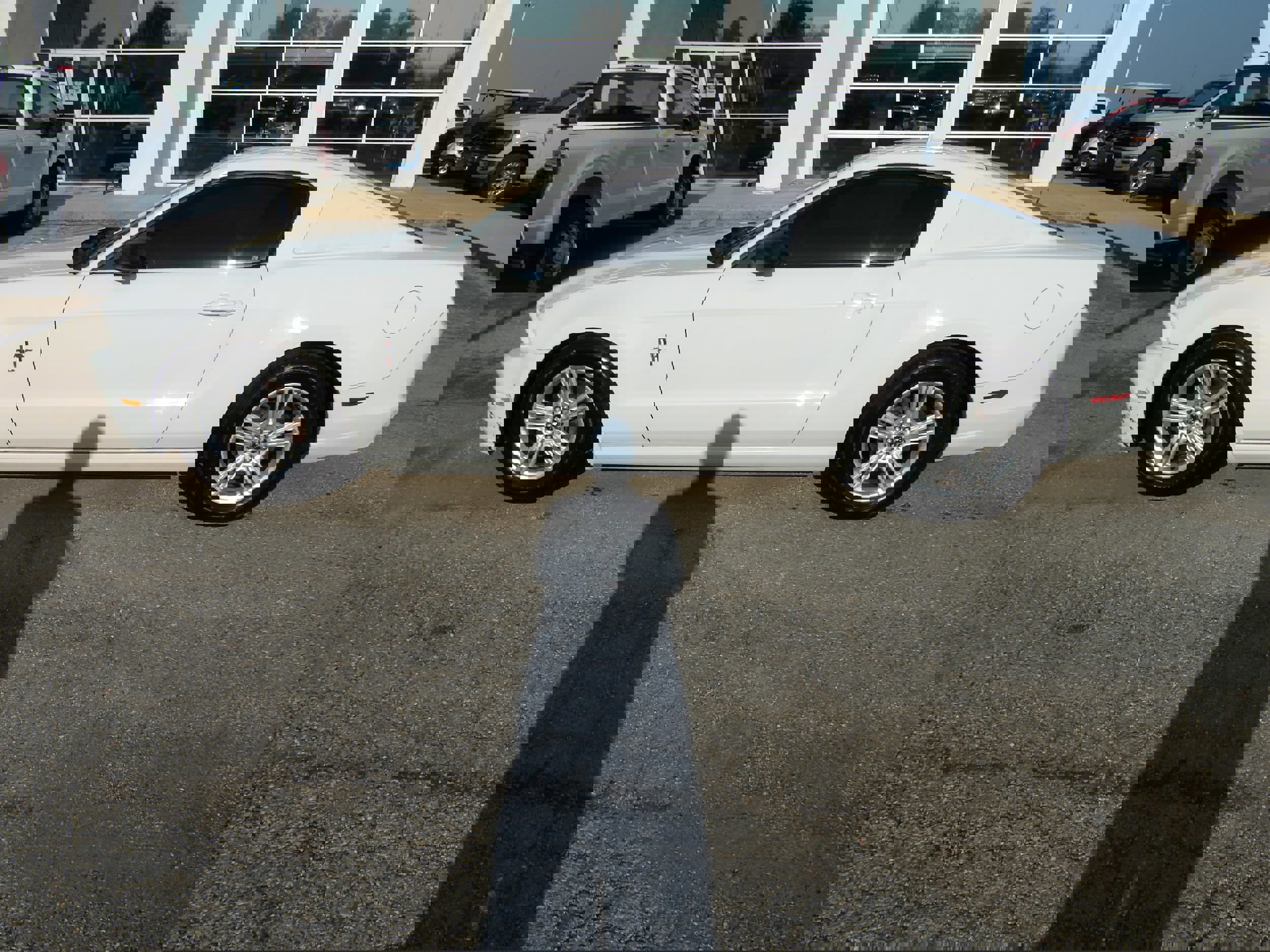 Used 2014 Ford Mustang Coupe