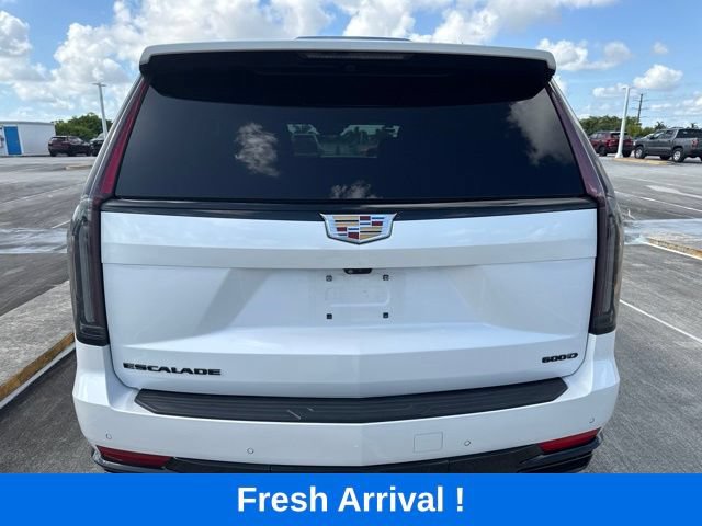 Used 2022 Cadillac Escalade Sport AWD/4WD image 18