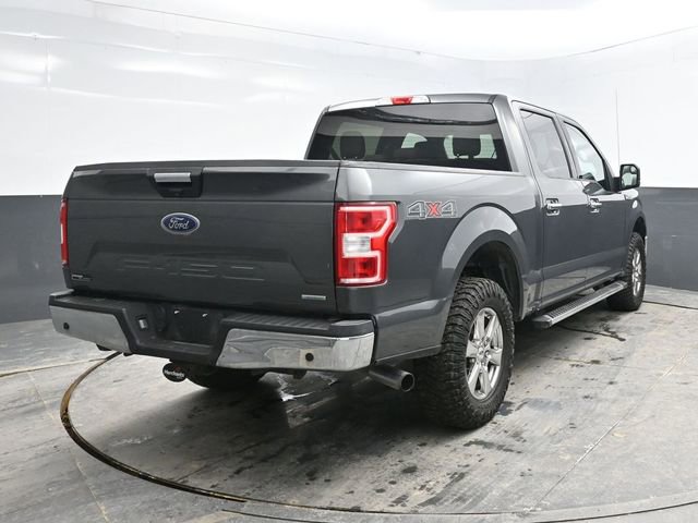 Used 2019 Ford F150 XLT w/ Equipment Group 301A Mid image 6