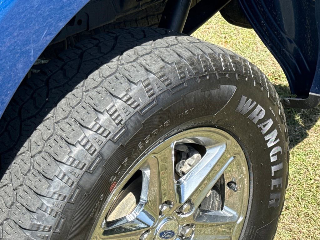 Used 2025 Ford F150 XLT w/ Equipment Group 301A Standard image 53