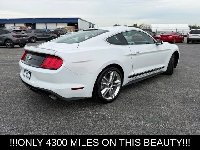 Used 2020 Ford Mustang Premium w/ Pony Package RWD image 12
