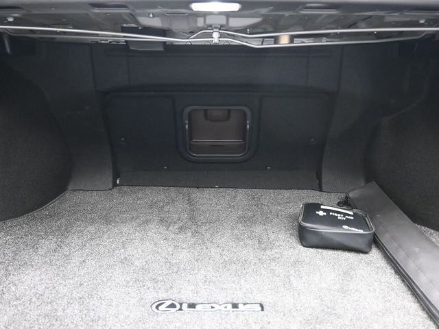 Used 2021 Lexus ES 250 w/ Premium Package image 11