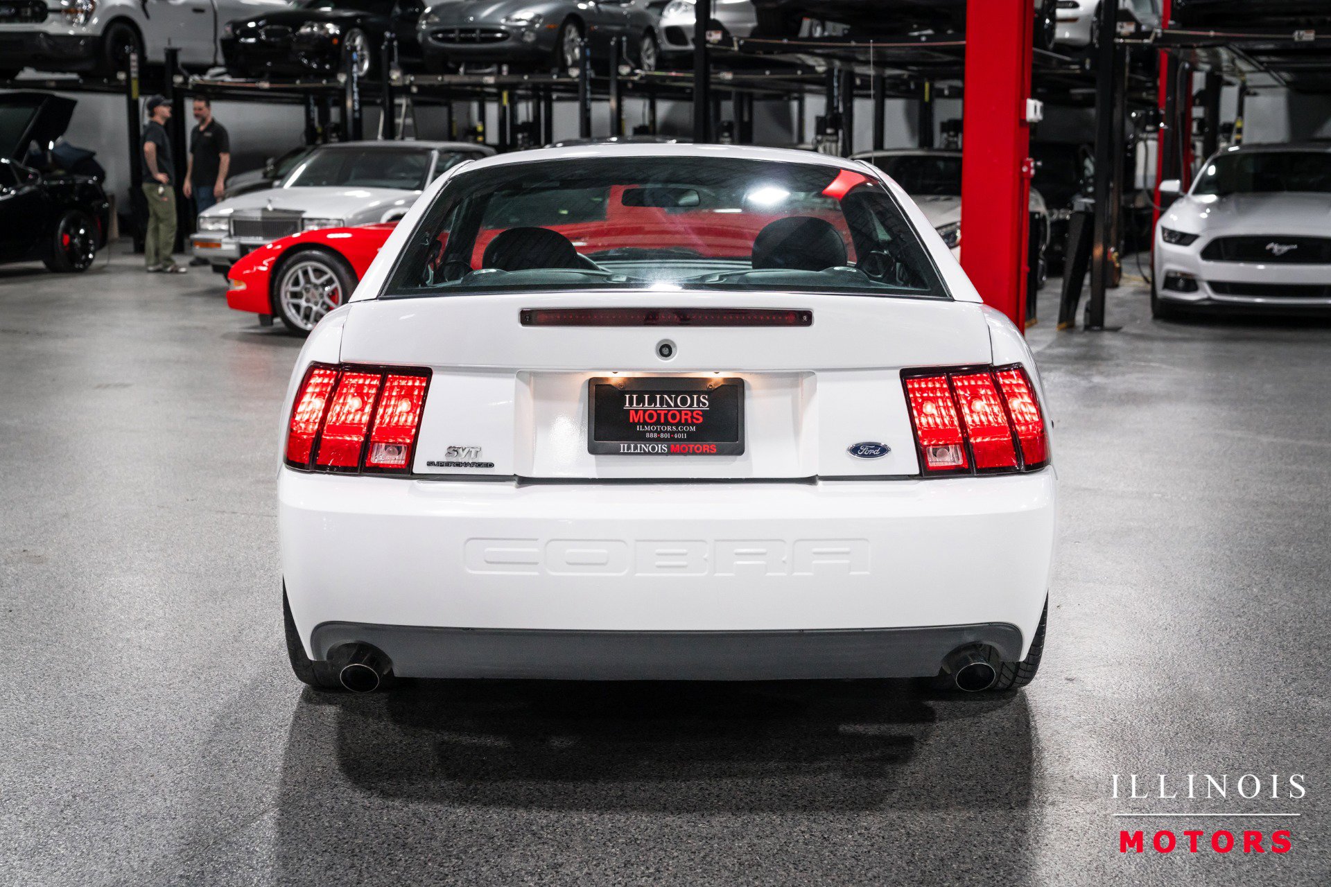 Used 2003 Ford Mustang Cobra image 4