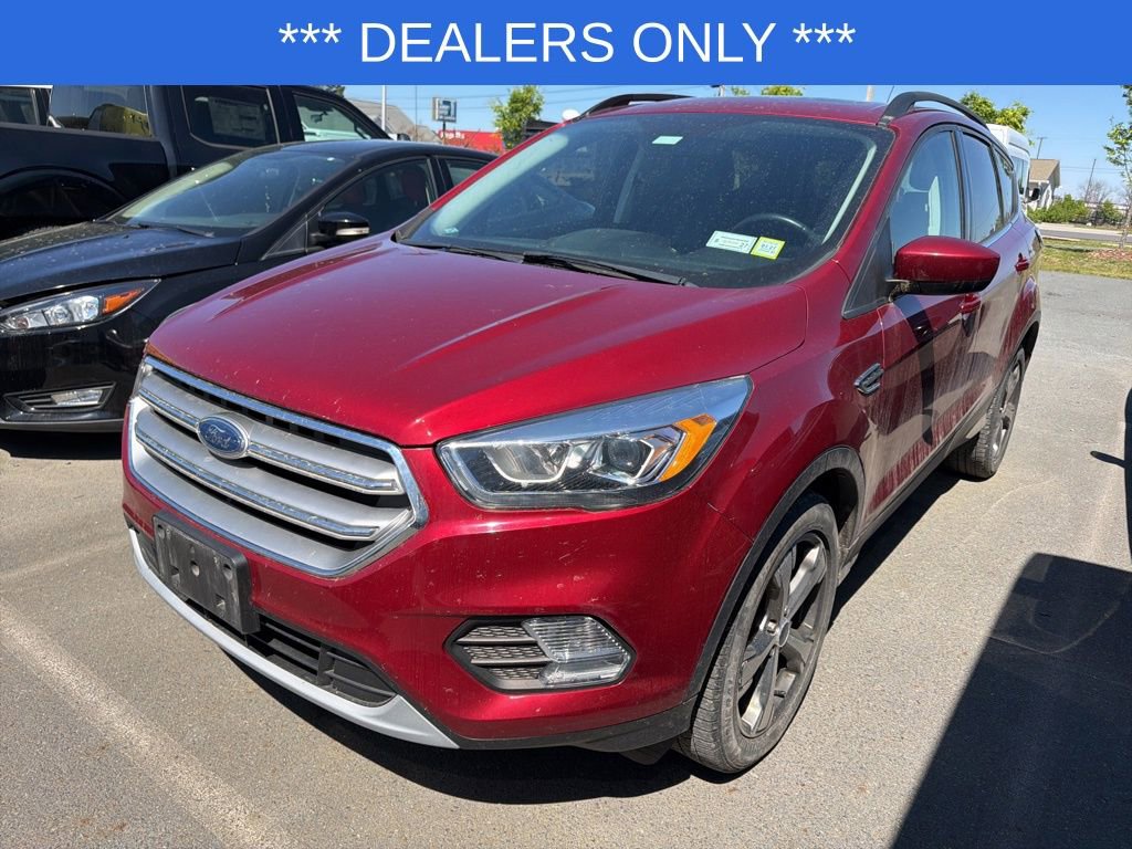 Used 2017 Ford Escape SE w/ SE Leather Comfort Package image 1
