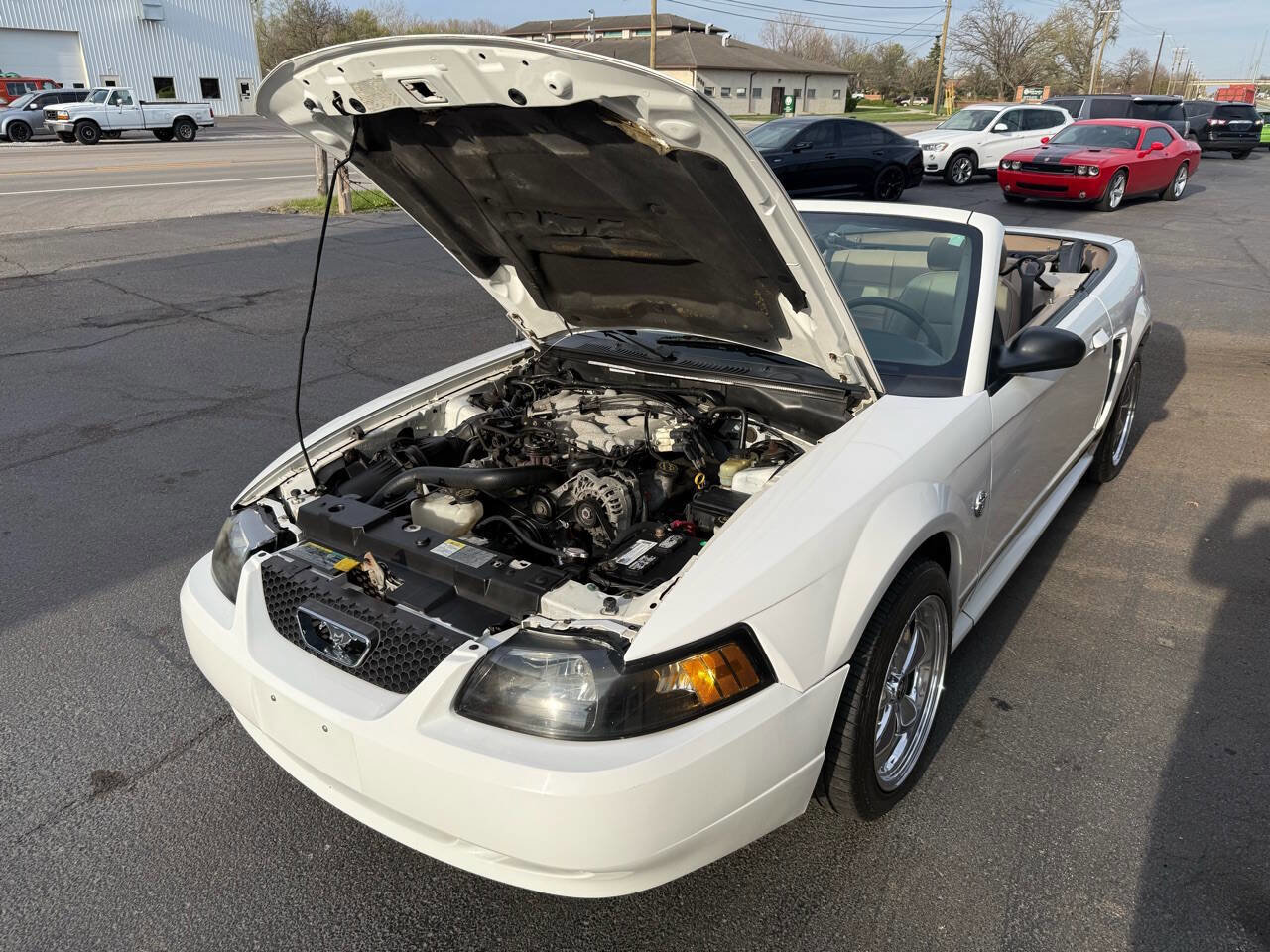 Used 2004 Ford Mustang Deluxe Convertible image 64