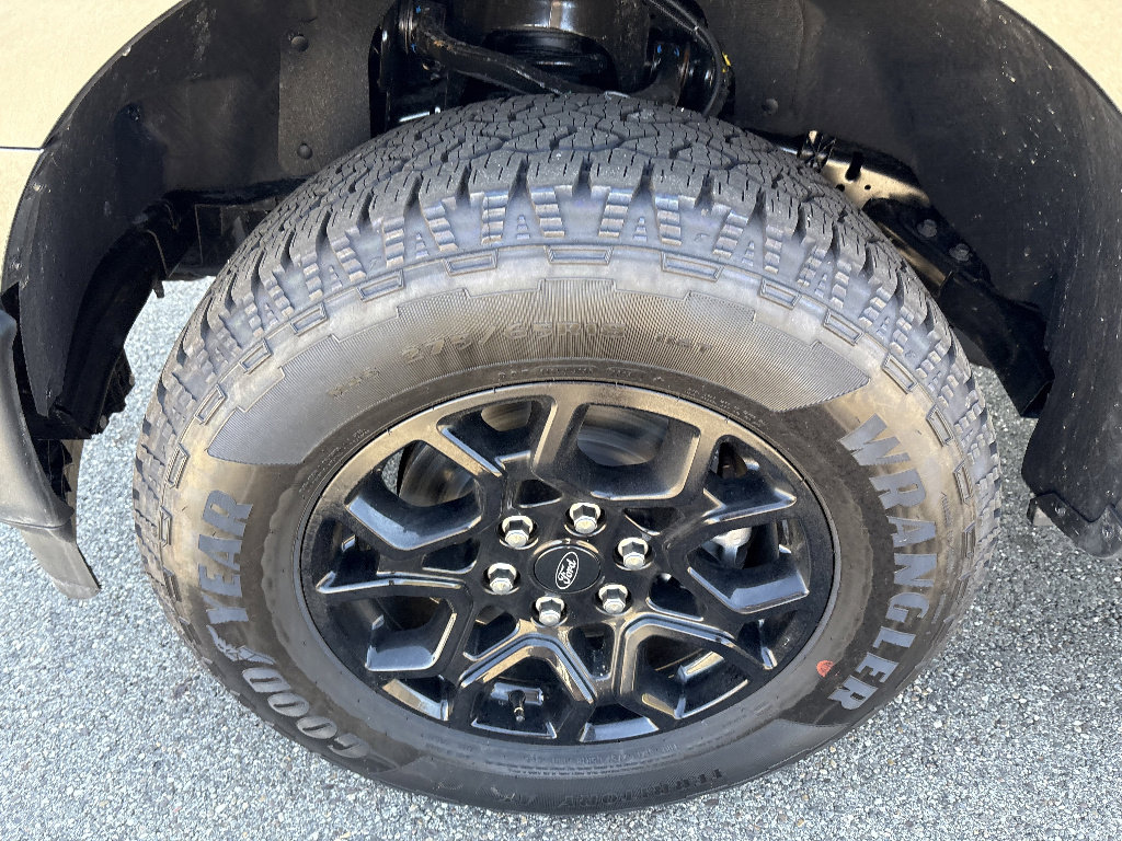 New 2026 Ford F150 XLT w/ Equipment Group 302A MID image 10