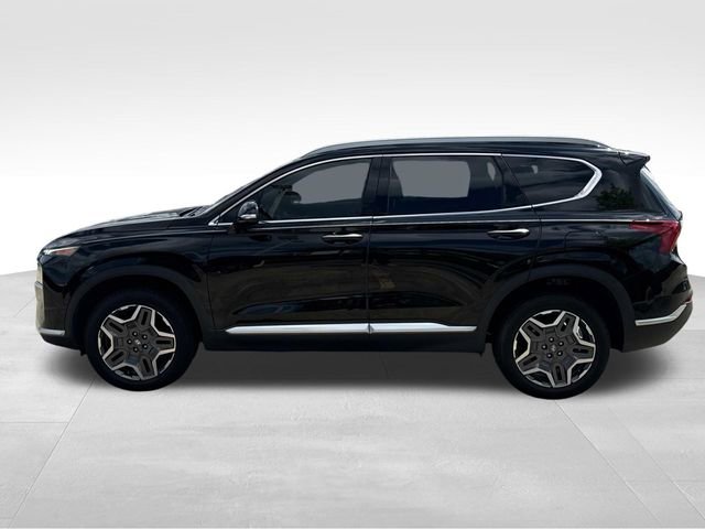 Used 2022 Hyundai Santa Fe SEL Premium AWD/4WD image 6