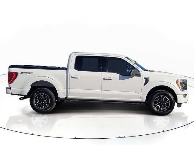 Used 2023 Ford F150 XLT w/ Equipment Group 302A High AWD/4WD image 4