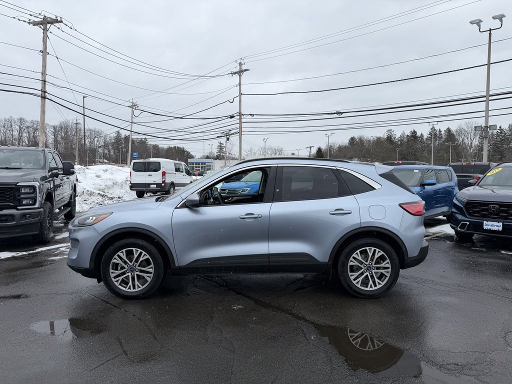 Certified 2022 Ford Escape SEL image 3