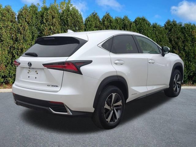 Used 2021 Lexus NX 300h AWD w/ Premium Package image 4