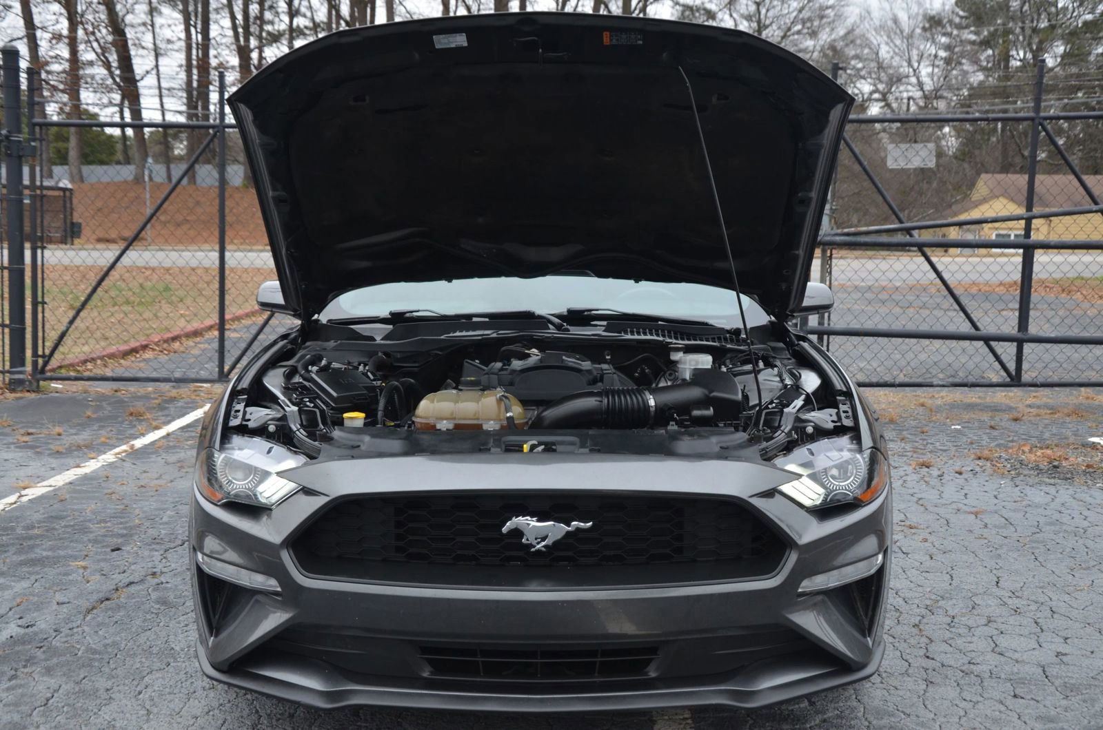 Used 2018 Ford Mustang Coupe image 14