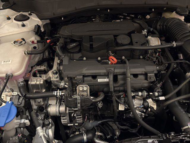 New 2024 Hyundai Kona Limited image 23