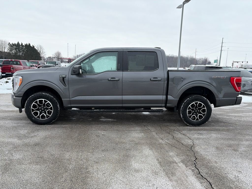 Used 2023 Ford F150 XLT w/ Equipment Group 302A High image 4