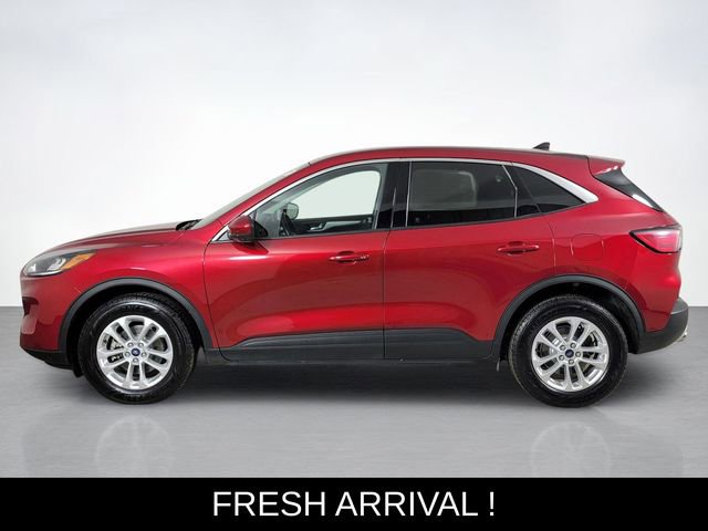 Certified 2021 Ford Escape SE w/ Convenience Package AWD/4WD image 6