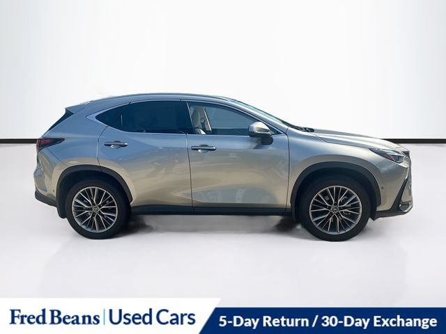 Used 2025 Lexus NX 350h AWD w/ Accessory Package (2T) image 11