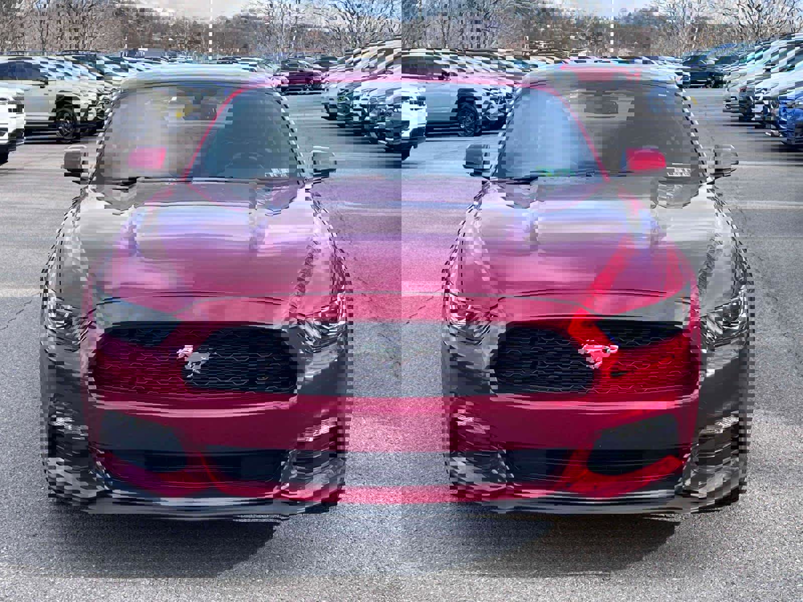 Used 2017 Ford Mustang Coupe w/ Enhanced Security Package image 6