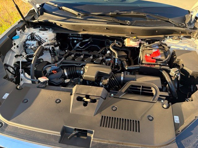 Used 2026 Honda CR-V EX-L image 14