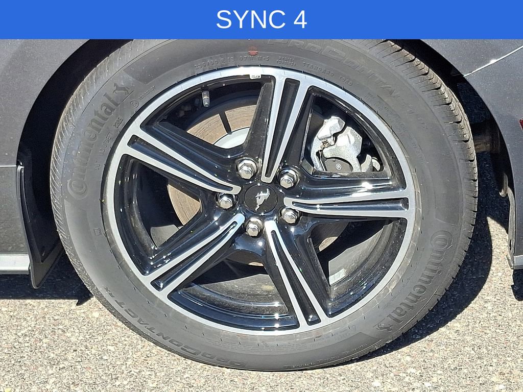 New 2025 Ford Mustang EcoBoost image 5