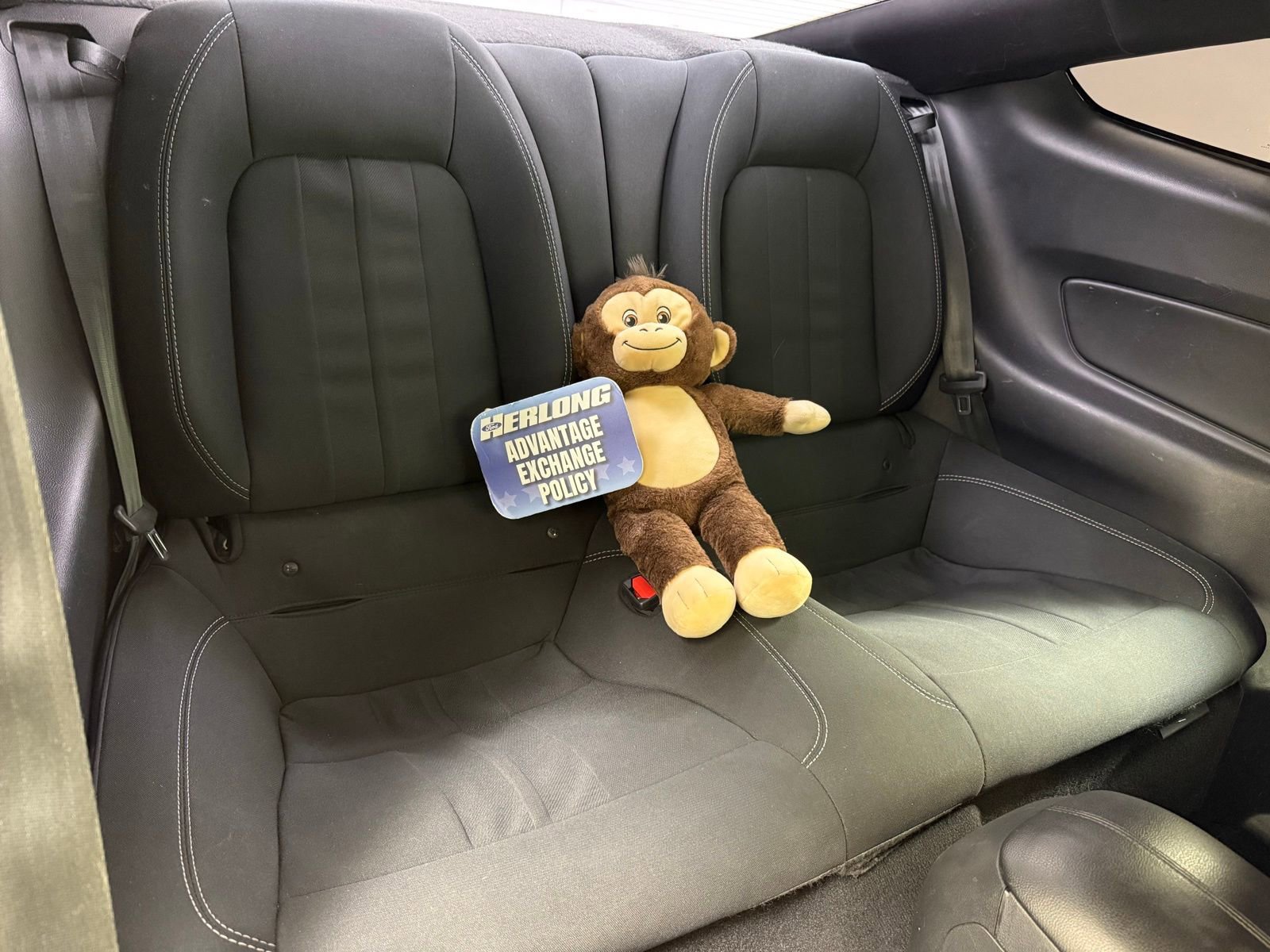 Used 2021 Ford Mustang Coupe w/ Equipment Group 101A image 18