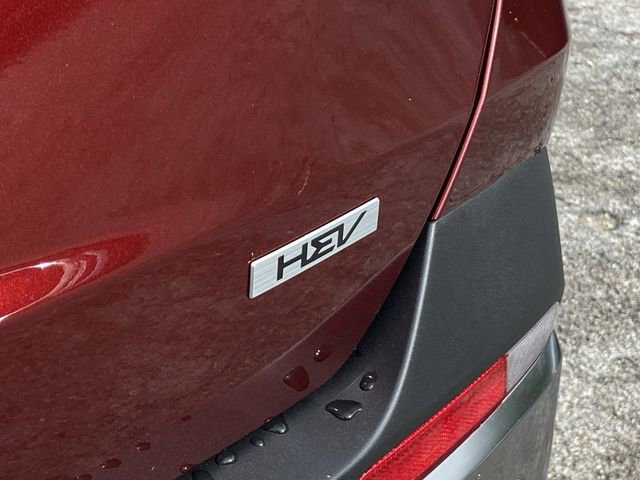 New 2026 Kia Carnival SX image 10