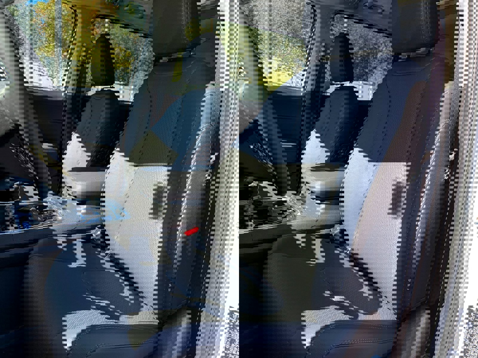 New 2026 Kia Carnival SX Prestige image 13