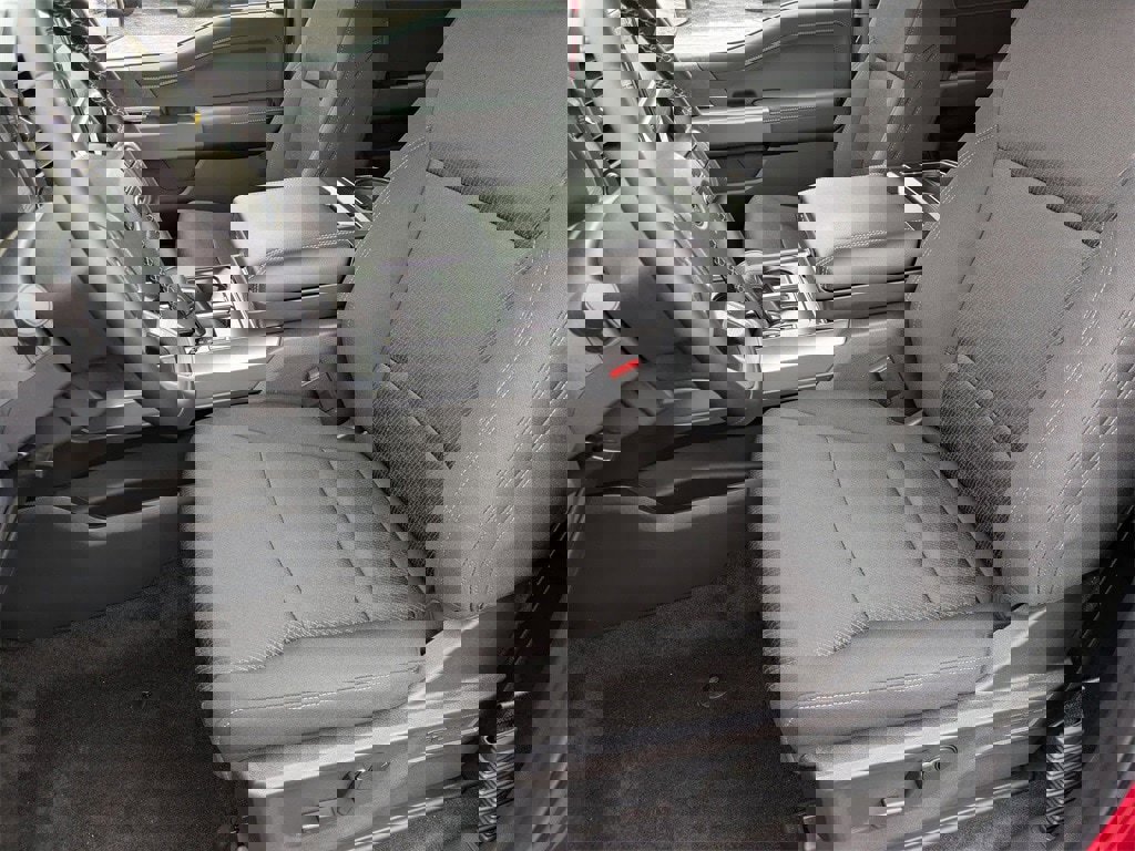 New 2025 Ford F150 XLT w/ Equipment Group 302A MID image 16