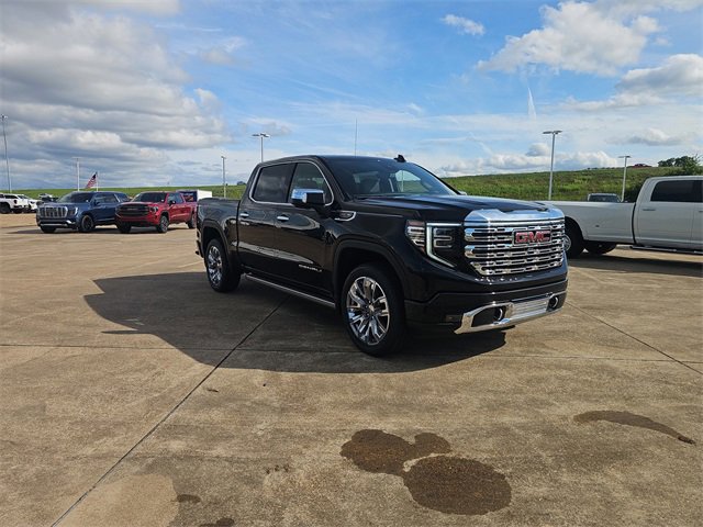 New 2025 GMC Sierra 1500 Denali