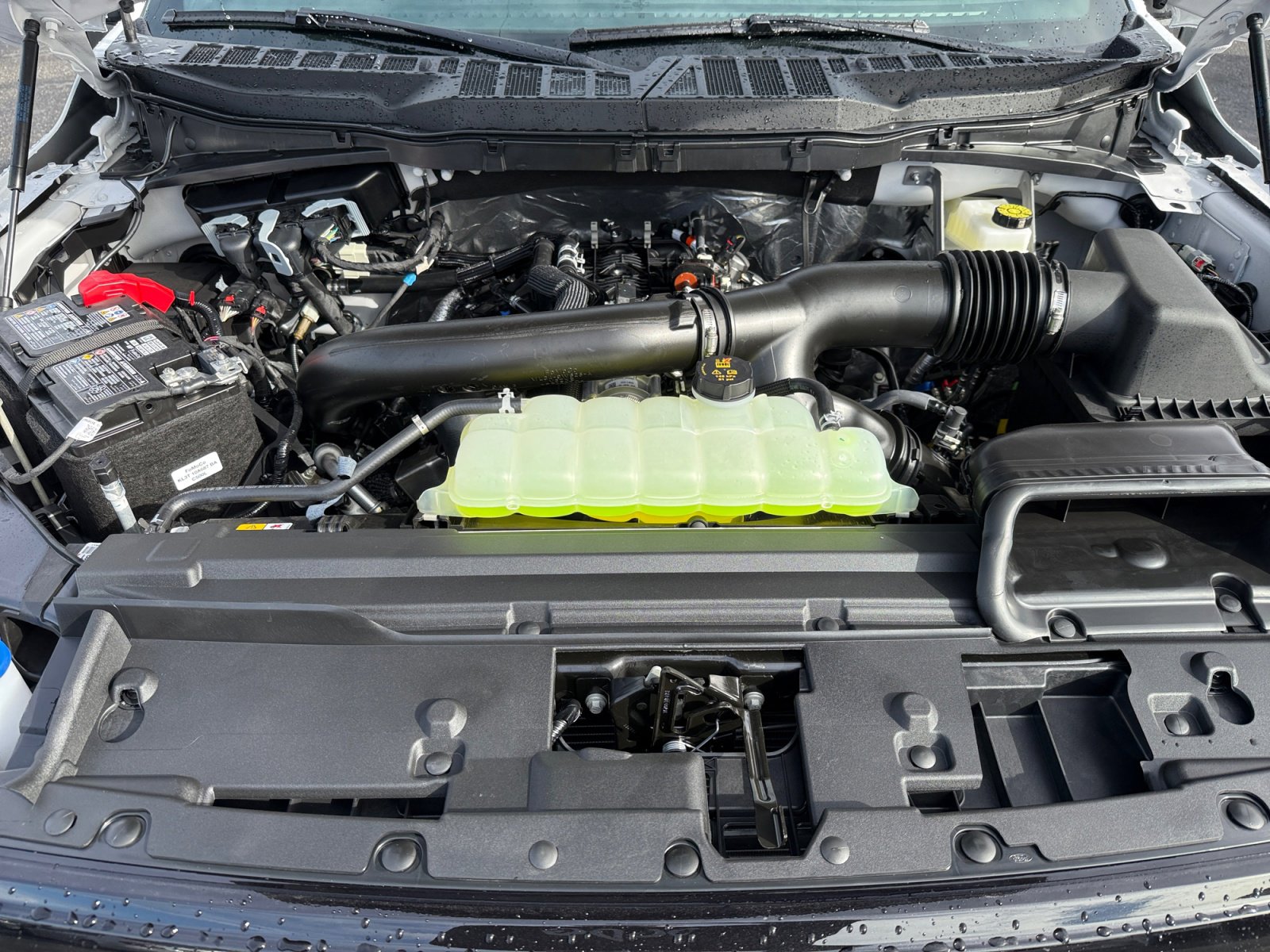 New 2026 Ford F150 XLT w/ FX4 Off-Road Package image 20