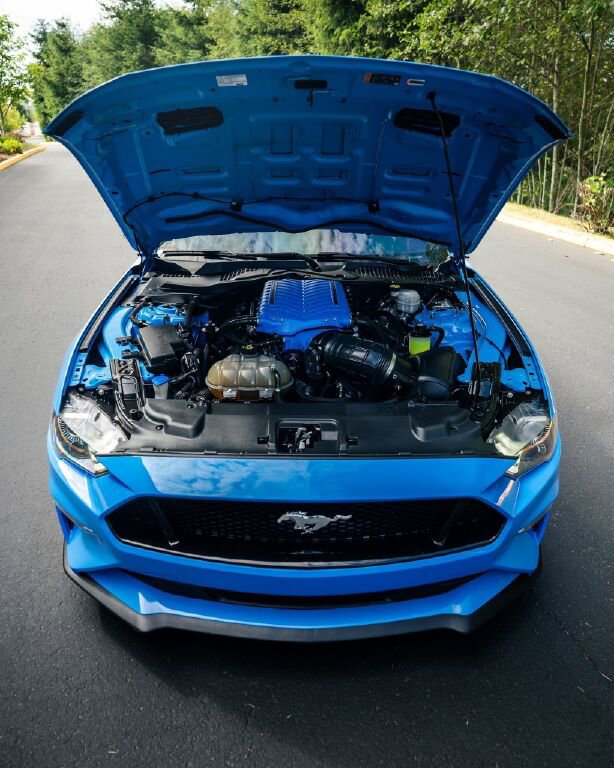 Used 2022 Ford Mustang GT Premium w/ Equipment Group 401A image 6