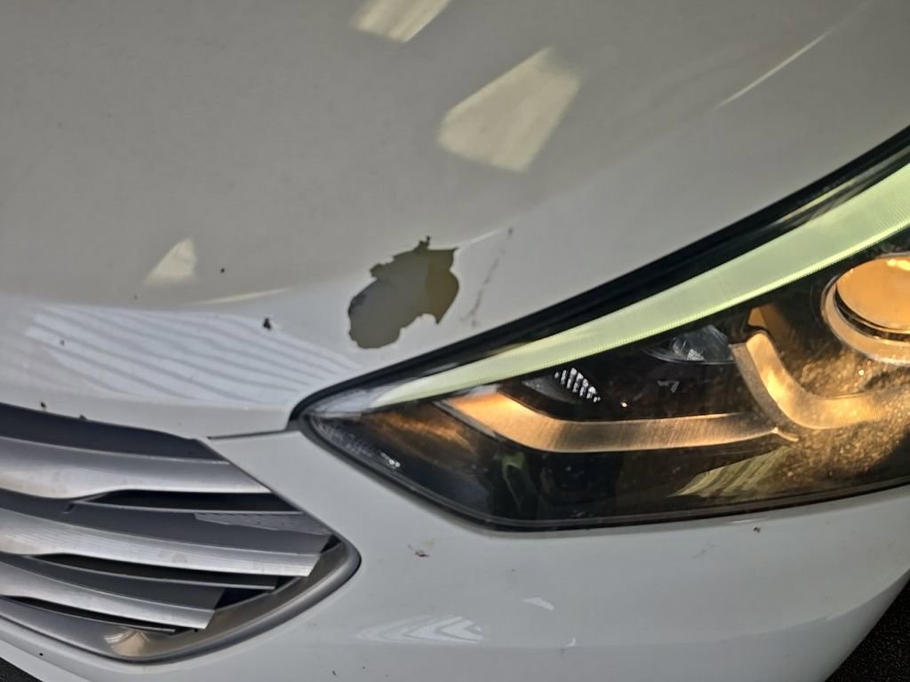 Used 2018 Hyundai Santa Fe Sport image 6