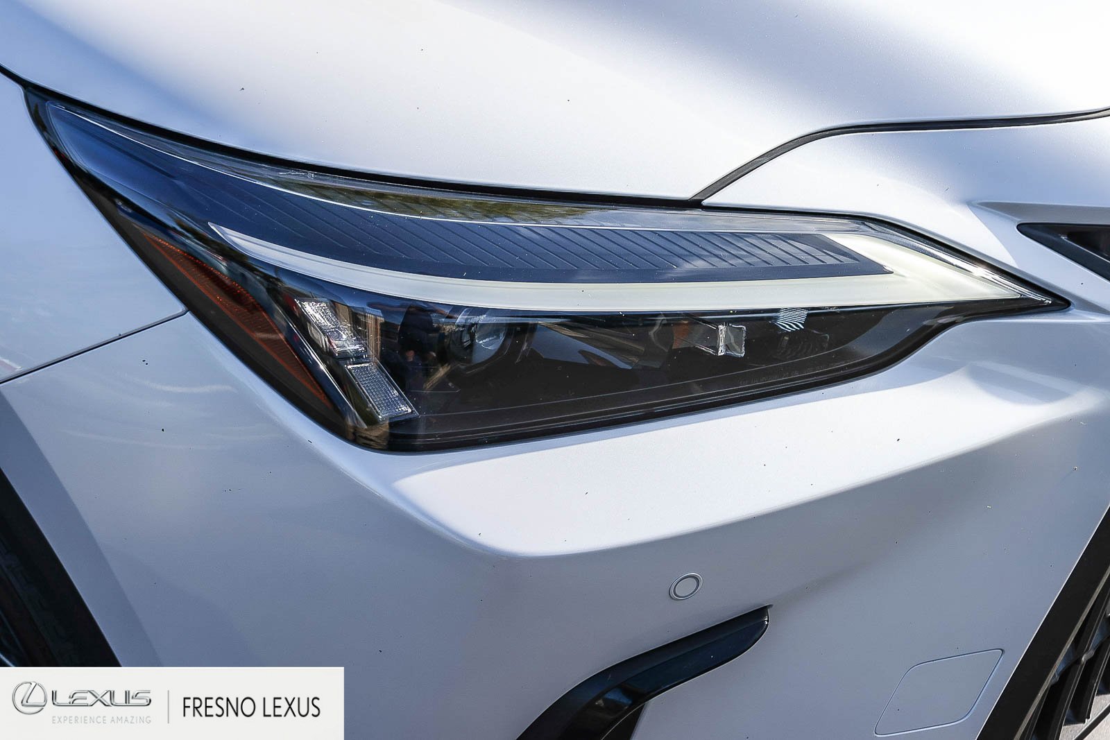 Certified 2025 Lexus NX 250 FWD image 10