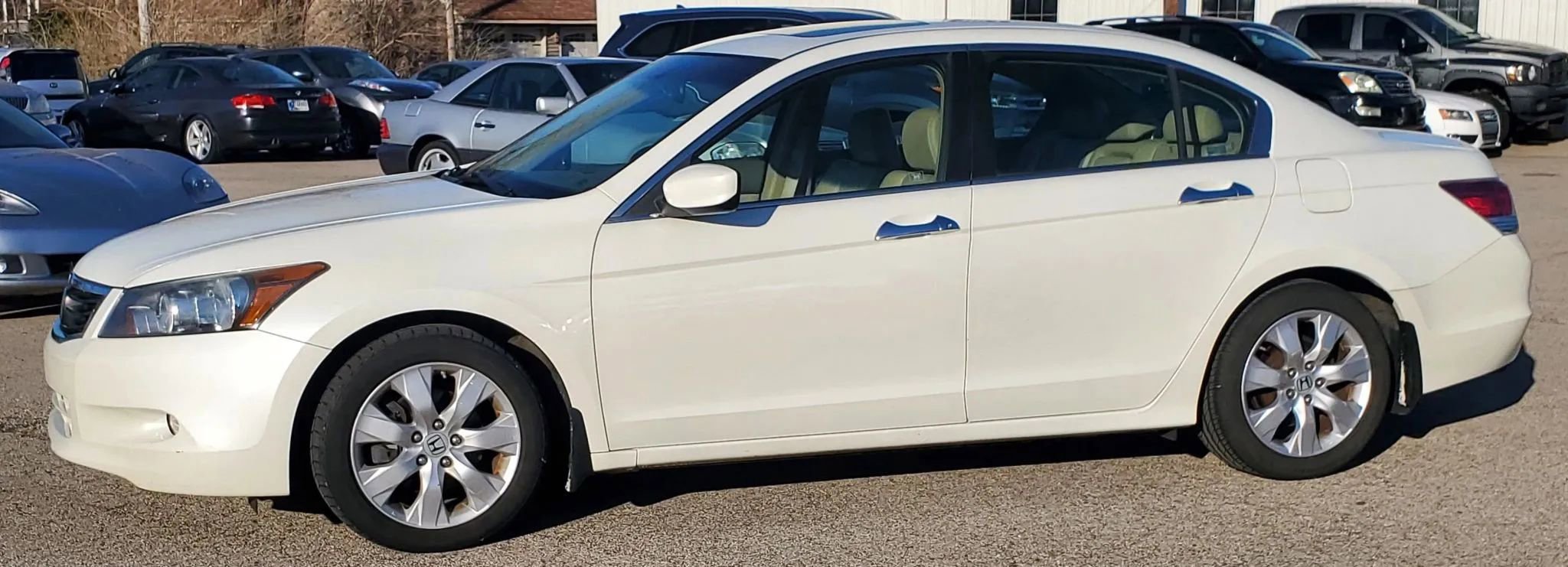 Used 2009 Honda Accord EX-L image 15