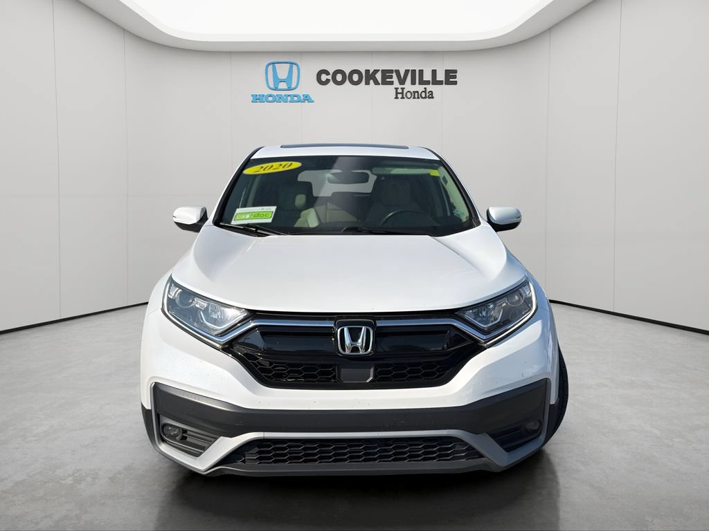 Used 2020 Honda CR-V EX-L image 4