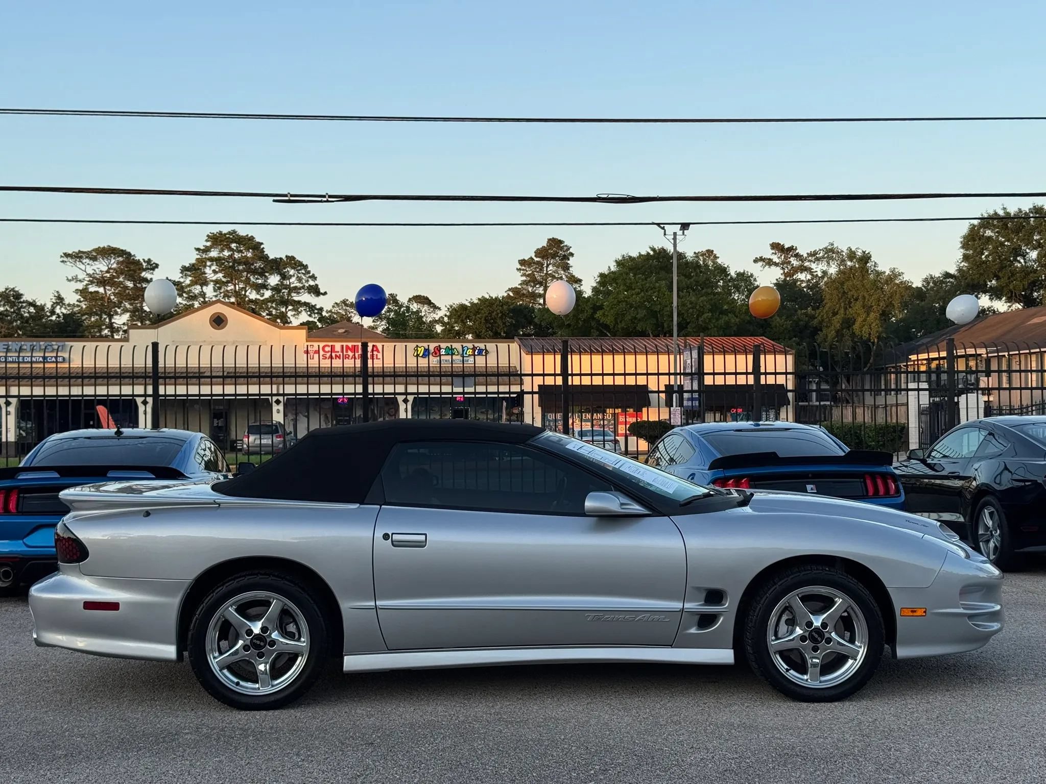 Used 2000 Pontiac Firebird Trans Am RWD image 46