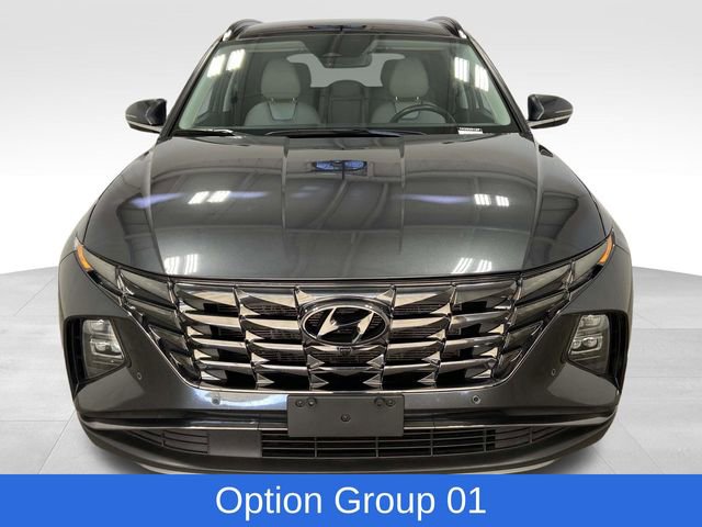 Used 2024 Hyundai Tucson Limited image 2