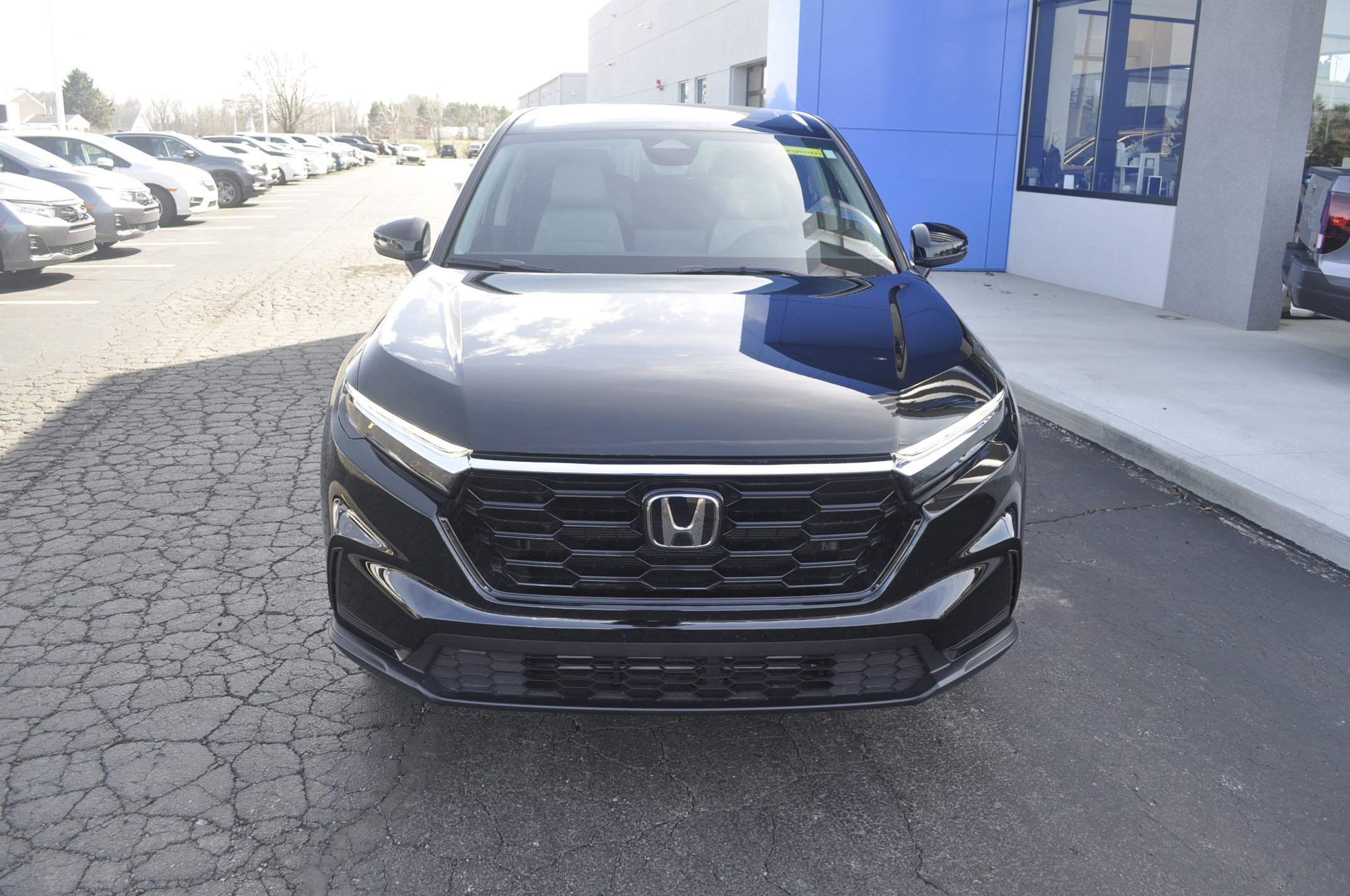 Certified 2024 Honda CR-V EX image 2