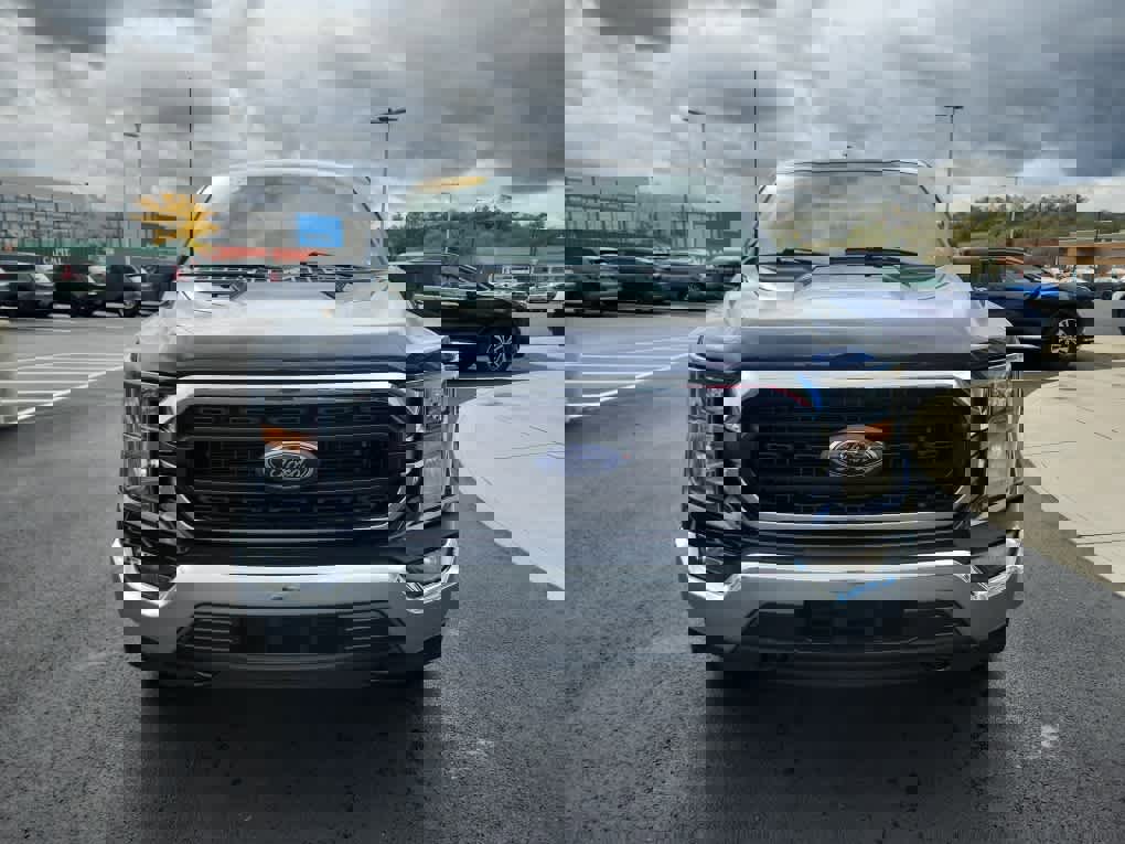 Used 2023 Ford F150 XLT image 7