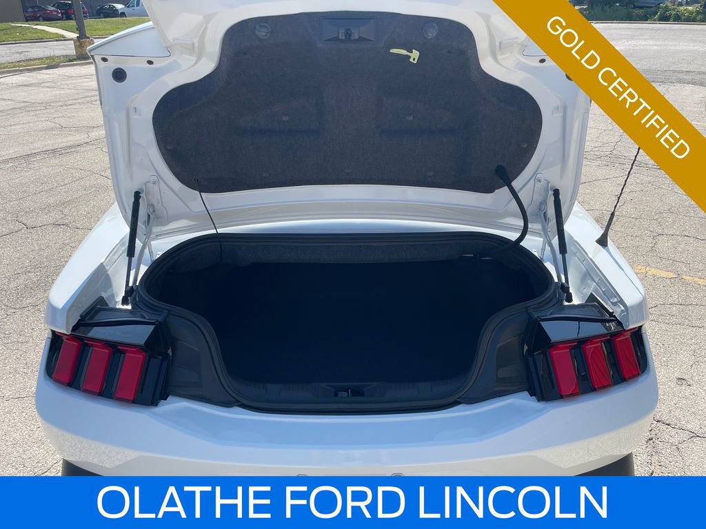 Certified 2025 Ford Mustang Convertible w/ Mustang Nite Pony Package RWD image 19