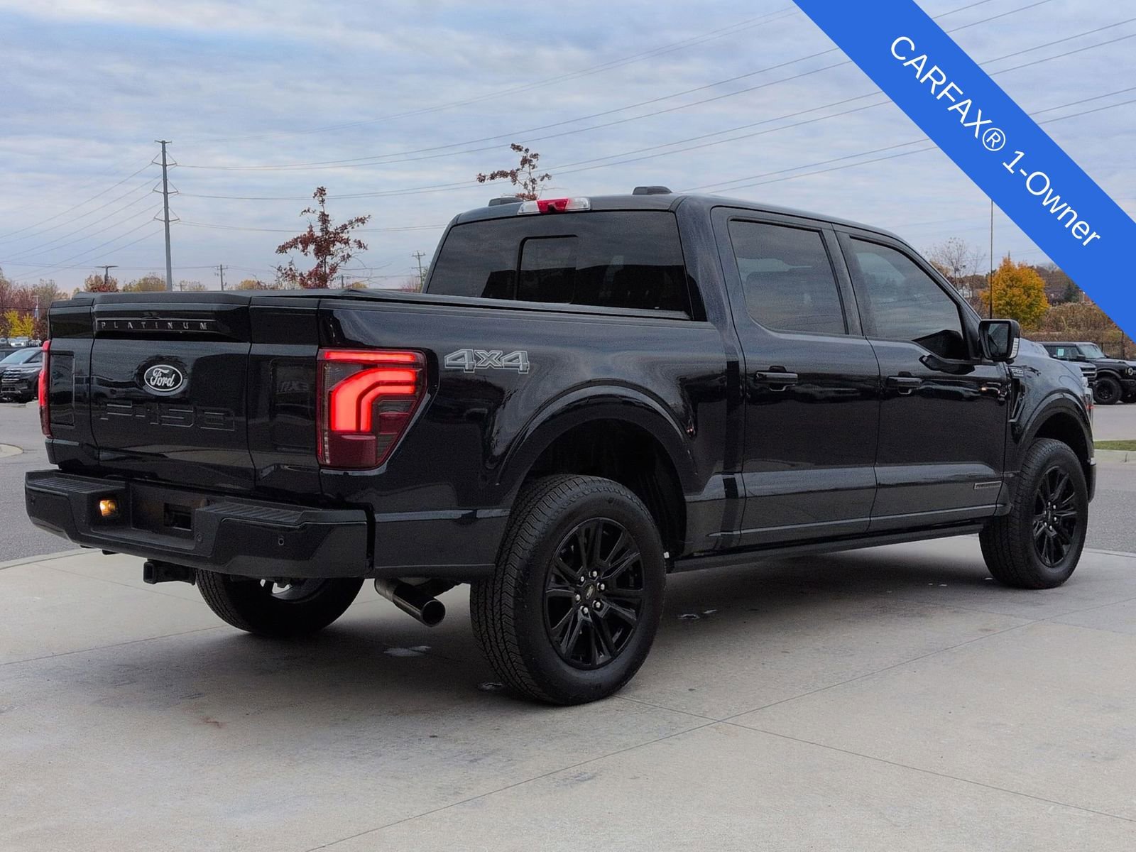 Used 2025 Ford F150 Platinum image 8
