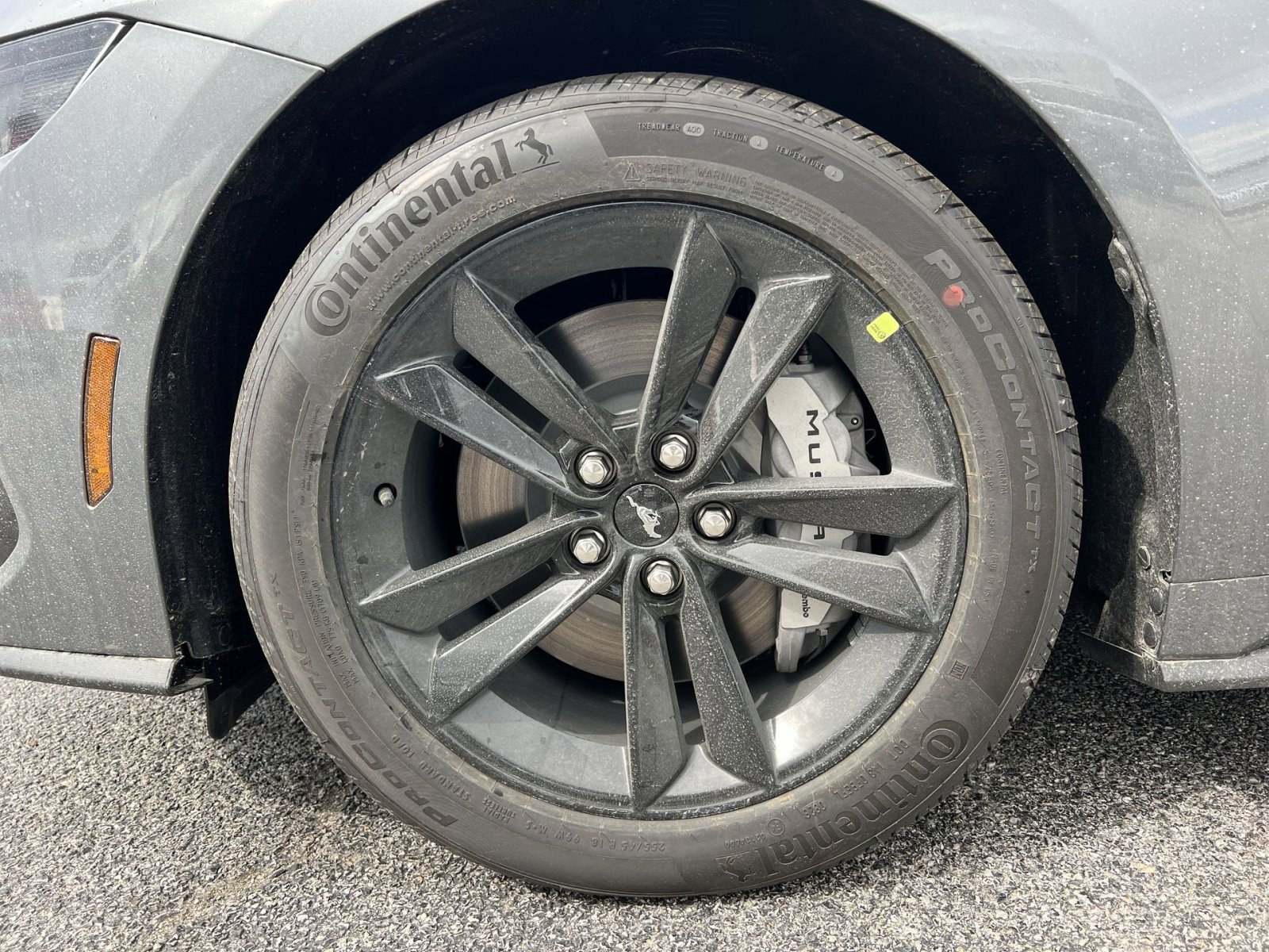 New 2026 Ford Mustang GT RWD image 12