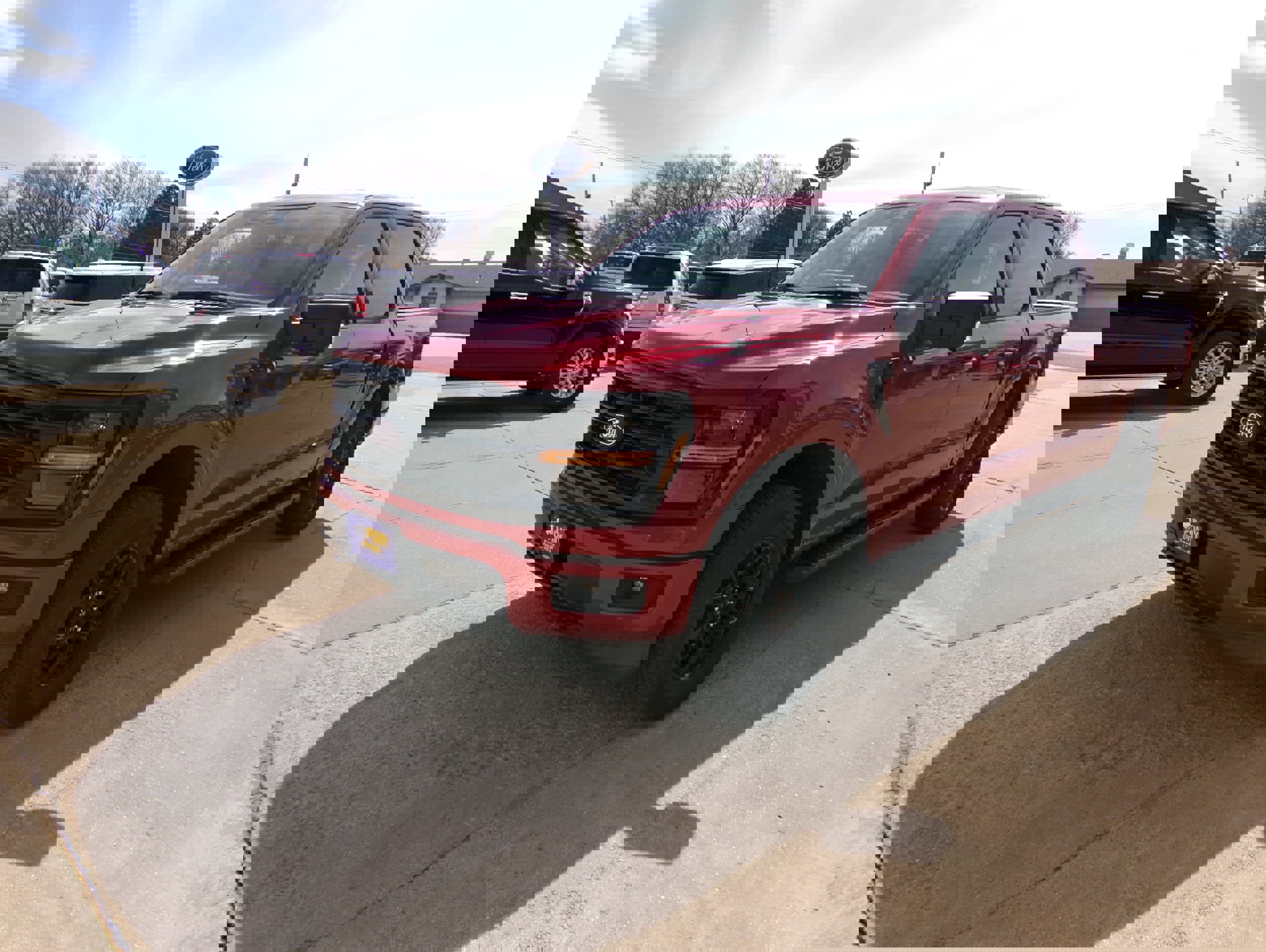 New 2025 Ford F150 XLT w/ Equipment Group 302A MID image 7