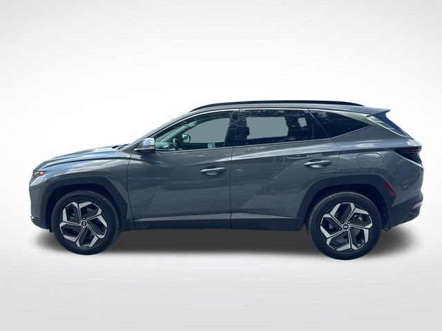 Used 2024 Hyundai Tucson Limited AWD/4WD image 2